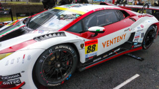 コスパ最強★超極上★クサントロエア・オーストラリス★30本以上 1-88_DSC_1249-320x180.jpg